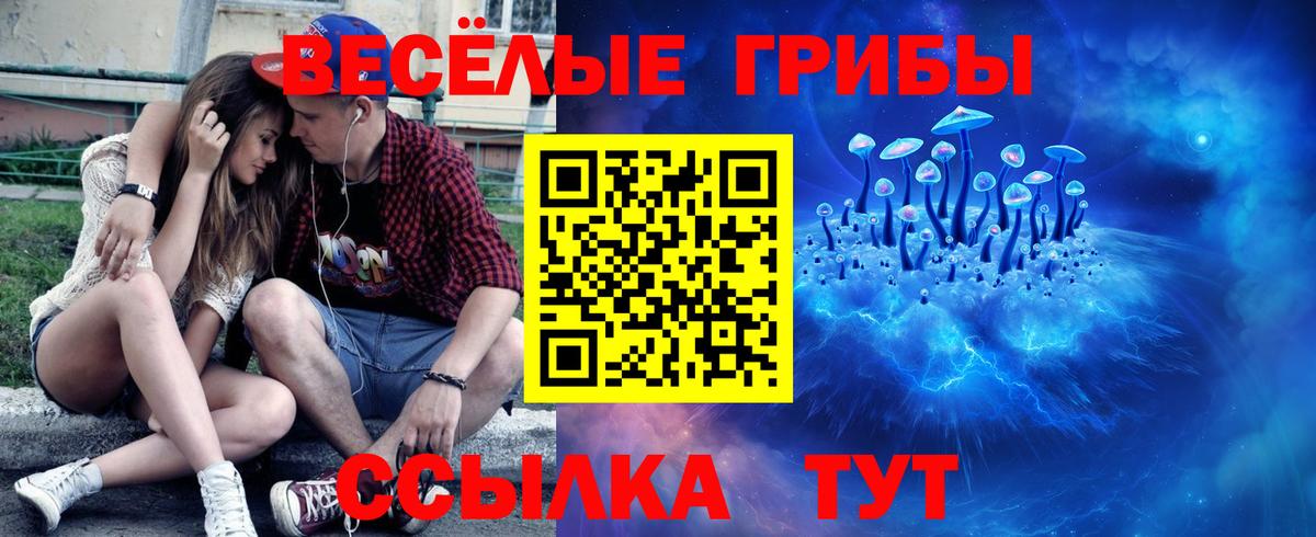 Галлюциногенные грибы MAGIC MUSHROOMS  Вход с VPN  Галлюциногенные грибы Magic Shrooms  Керчь 